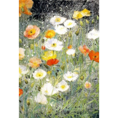 Ansichtkaart Ijslandse papavertjes (J. Hudig)