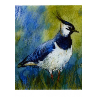 Ansichtkaart Kievit (L. Botman)