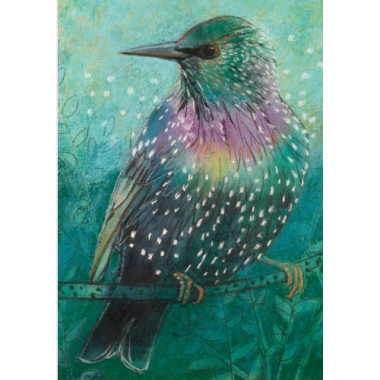 Ansichtkaart Spreeuw II (L. Botman)