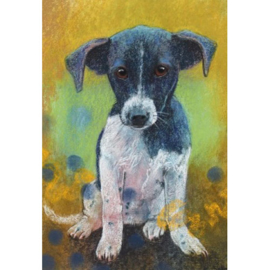 Ansichtkaart Rooney (L. Botman)