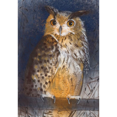 Ansichtkaart Ransuil (L. Botman)