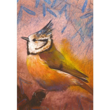 Ansichtkaart Kuifmees (L. Botman)