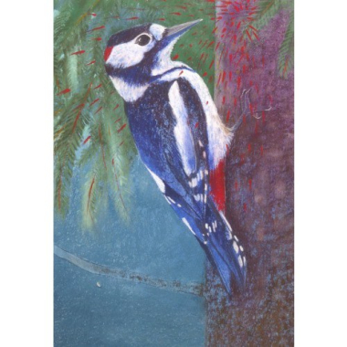 Ansichtkaart Grote bonte specht (L. Botman)