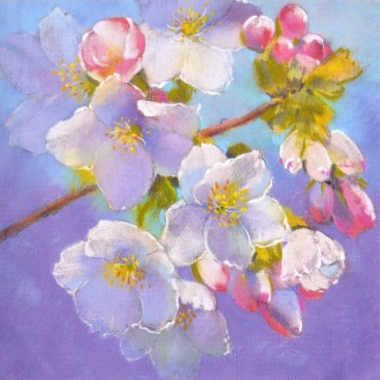 Ansichtkaart Square bloeiende tak (L. Botman)