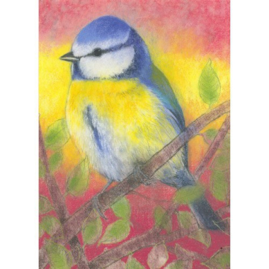 Ansichtkaart Klein vogelboek 3 (L. Botman)