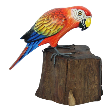 Beeld hout vogel ara op tak