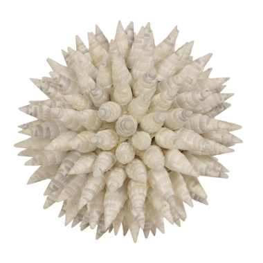 Coquille boule déco Timor M