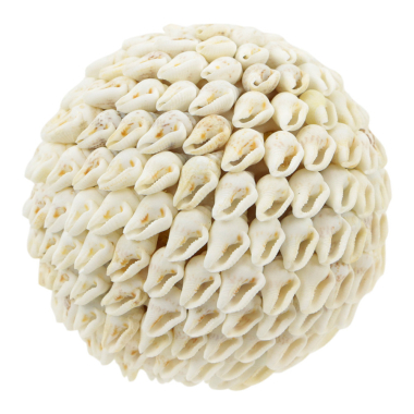 Coquille boule déco Azul S