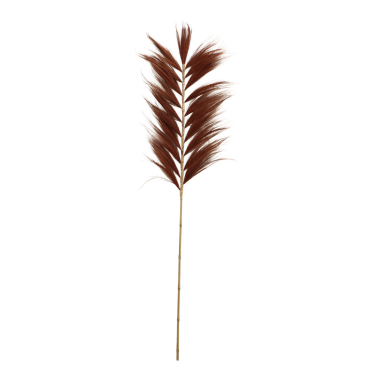 Plume Rayung grass brown L