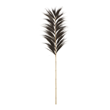 Pluim Rayung gras zwart L