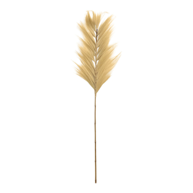 Pluim Rayung gras wit L