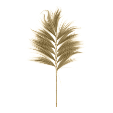 Plume Rayung grass natural M