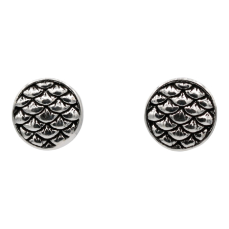 Oorsteker Golven, zilver SP36509