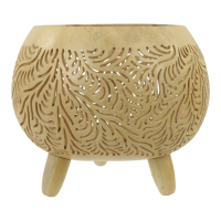 Schaal kokosnoot voeten blad design