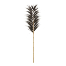 Plume Rayung grass black L