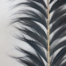 Plume Rayung grass black L